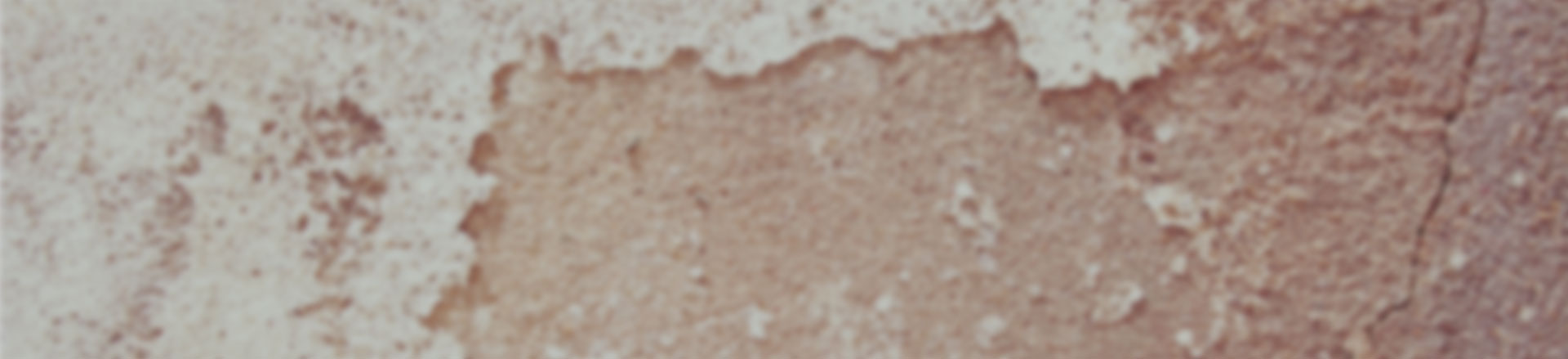 呼死你电话轰炸机